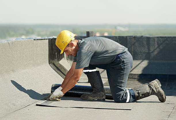 Best Insulation Contractor Near Me  in Middlesborough, KY